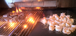 Lion Premium Grills Media & Press